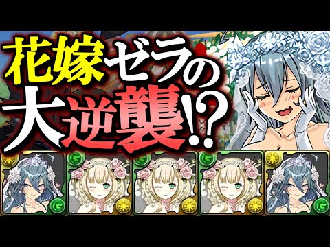 【環境入りの可能性は？】花嫁ゼラとフェノンの新形態が強力!!まるで正月フェルル!!【パズドラ】