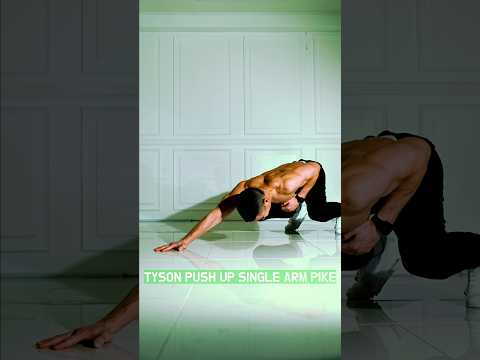 타이슨 푸쉬업 업그레이드 버젼