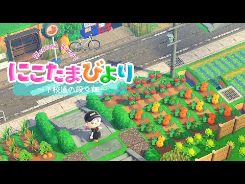 【あつ森】田舎町づくりも終盤！段々畑づくり【ゆっくり実況】【あつまれどうぶつの森】
