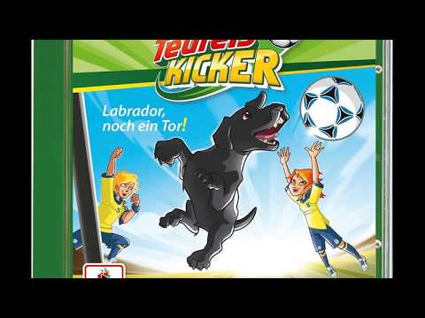 Labrador noch ein Tor von Teufelskicker Hörspiel