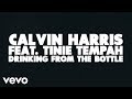 MV Drinking From the Bottle - Calvin Harris feat. Tinie Tempah