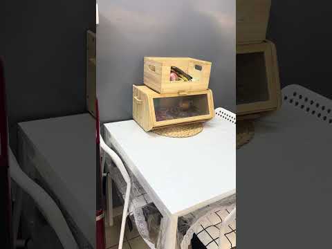 انتو هم مثلي ؟