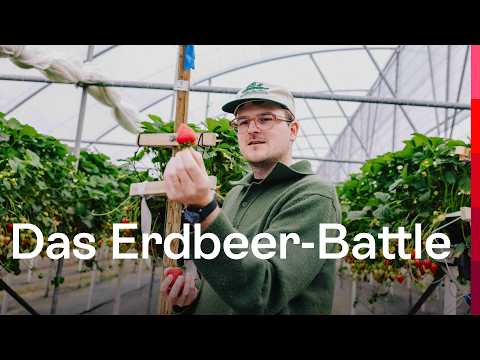 Culinary Grand Tour of Switzerland | Summer Season, Episode 3/3 | Switzerland Tourism