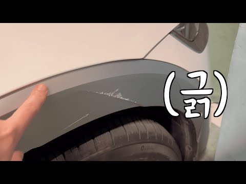 주차하다 기둥 긁었습니다 / 메론킥을 못 구했습니다 / 뚜기 맞이를 합니다 / 잠실에 메타몽 보러 갔습니다
