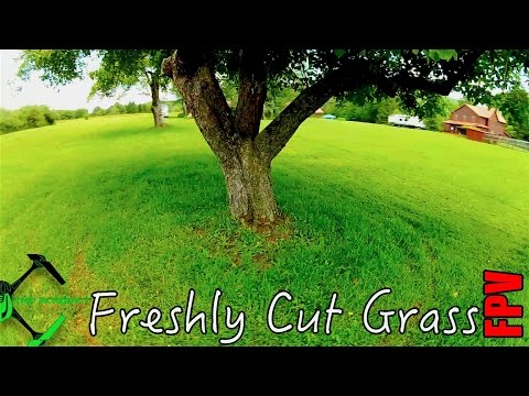 Freshly Cut Grass - FPV - UC2c9N7iDxa-4D-b9T7avd7g