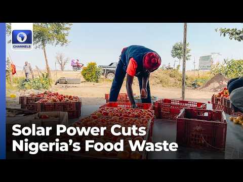 Adonai Foods Deploys Off Grid Storage To Cut Post Harvest Losses