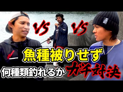 【高難易度】奇跡!?魚種被りせず〇種類釣りあげました！【釣り対決】