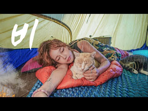 🌧️밤새내리는 빗속 텐트 안 고양이와 나홀로 캠핑