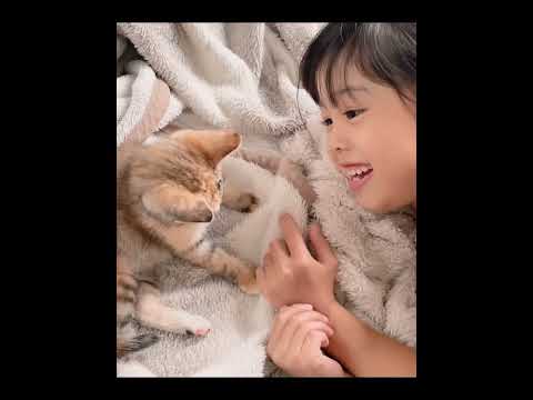 保護された子猫が我が家に来て1年が経ちました!!