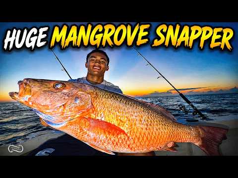 Limiting OUT ON gigantic mangrove snapper! video thumbnail