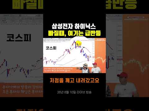 <strong>삼성전자</strong> 하이닉스 빠질때, 여기는 급반등