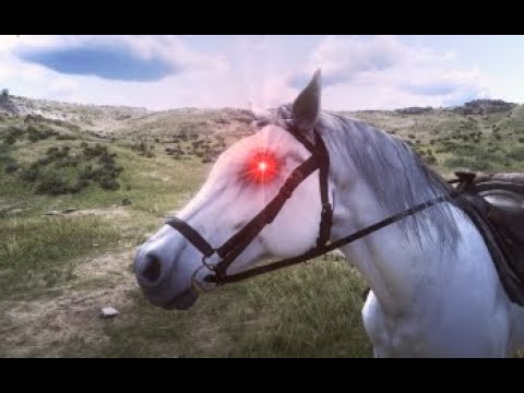 ¡¡ NO MAN PLIS NOOO Red Dead Redemption 2¡¡  ONLINE - MODS - HACKS