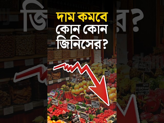 দাম কমবে কোন কোন জিনিসের?

#GST #PriceReduction #ProductCost #Drishtibhongi


সব জায়গায় একই খবর দেখে দেখে বিরক্ত? চেনা খবর নতুন দৃষ্টিভঙ্গিতে পেতে সাবস্ক্রাইব করুন আমাদের চ্যানেল।

YouTube: https://www.youtube.com/channel/UCWrA...

Facebook: https://www.facebook.com/DrishtibhongiIN

Twitter: https://twitter.com/Drishtibhongi

Instagram: https://www.instagram.com/drishtibhongi
--------------------------------------------------------------------------------------------------












----------------------------------------------------------------------------------------
#Drishtibhongi #News #BreakingNews #Headline #Media #KolkataNews #BengaliNews #BanglaNews #NationalNews #WestBengal #Kolkata #NorthBengal #SouthBengal #Video #Videos #NewsVideos #BreakingNewsVideos #NewsBulletin #Bulletin #Khobor #BanglaKhobor #KhasKhobor #TatkaKhobor #TajaKhobor #WebPortal #WebNews #NewsPortal #Trinamool #BJP #CPIM #Congress #Politics #Entertainment