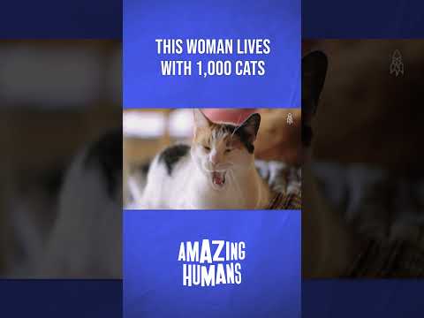 The Woman Who Lives With 1,000 Cats #amazinghumans