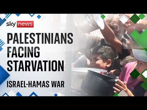 Gaza: Displaced Palestinians queue for food in Khan Younis | Israel-Hamas war