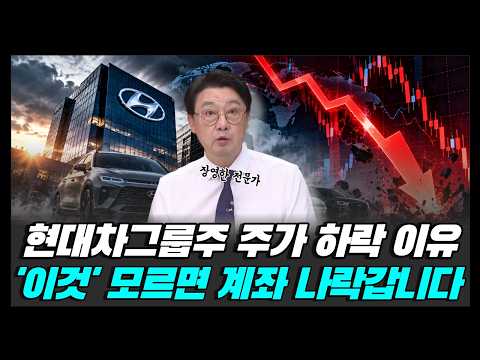 현대차그룹주 주가 하락 이유는 바로 '이것' 모르면 계좌 나락갑니다