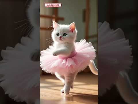 kucing lucu nyanyi 😆😂🤣#kucing #kucinglucu #kucingjoget #kucingnyanyi #kucingimut #kucingoyen #short