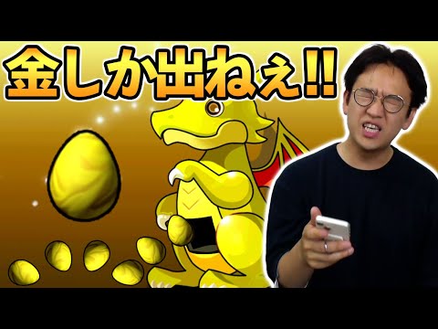 【37連ガチャ】狙えラー＆ホルス!! ヴァイスシュヴァルツ参戦記念カーニバル【パズドラ】