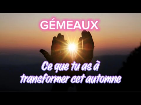 GÉMEAUX ♊ SORS DE TA ROUE ET VA FAIRE UN TOUR DANS LE HAMAC !
