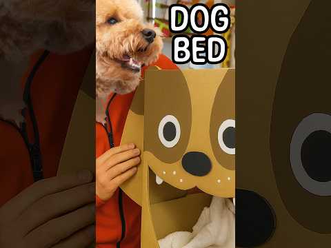 DIY Dog Bed - Cardboard Craft Ideas For Kids | Box Yourself