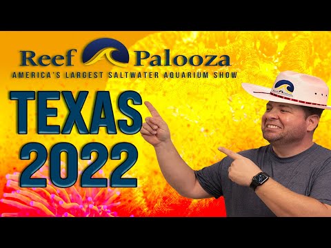 Reef-A-Palooza Texas 2022 Recap The 1st ever Reef-A-Palooza Texas took place at the Embassy Suites Hilton Dallas-Frisco Hotel & Conv