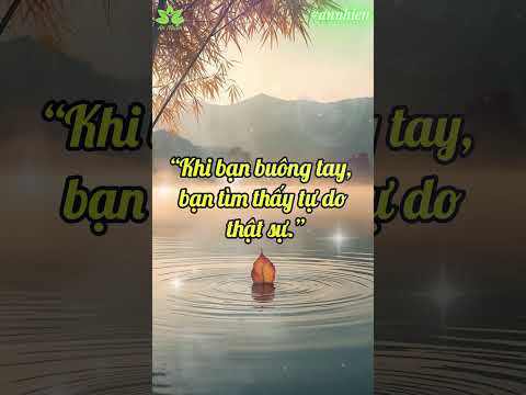 5 Lời Dạy Của Lão Tử Về Sức Mạnh Của Sự Buông Bỏ | Triết Lý Sống An Nhiên