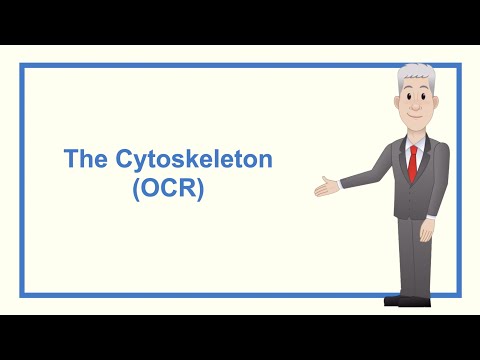 A Level Biology Revision “The Cytoskeleton (OCR)”