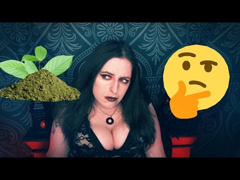 Thoughts On Kratom