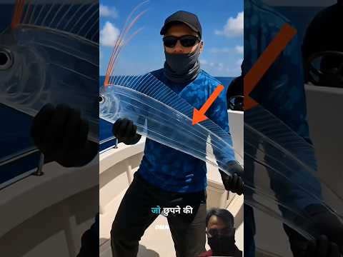 Top 5 Animals That Are Almost Invisible 😳