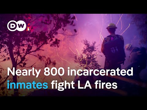 Battling LA wildfires: Nearly 800 incarcerated inmates form backbone of firefighting force | DW News
