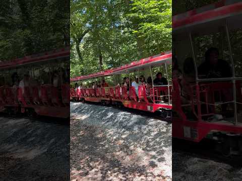 Train ride in Baltimore-Maryland zoo 😍