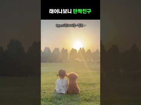 세상에서 가장 사랑스러운 투샷 💗