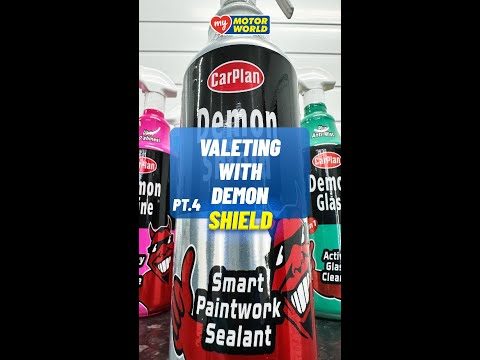 VALETING WITH DEMON Pt4 - DEMON SHIELD