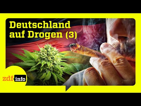 Provinz im Rausch: Cannabis-Hotspot an der deutschen Küste | Teil 3/3 | ZDFinfo Doku