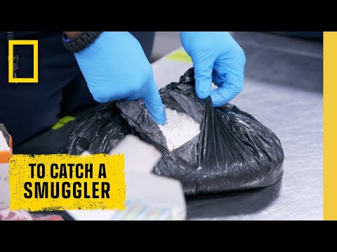 ? LIVE: Cocaine, Contraband, and Cartel Money: To Catch a Smuggler | S3 FULL EPISODES | @NatGeo