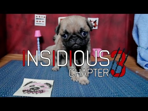 Insidious: Chapter 3 (Cute Pug Puppy Edition) - UCPIvT-zcQl2H0vabdXJGcpg