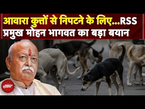 Stray Dogs से जुड़े SC के आदेश पर RSS Chief Mohan Bhagwat का बड़ा बयान, कहा- 'आबादी को नियंत्रित...'