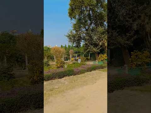 Mere Nabi❤️ #short #viral #trending @sisbrovlogs4539