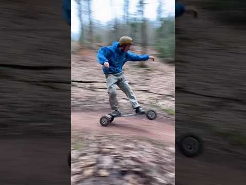 Forest Ride 🌲💨 #mountainboard #mtb #mountainbike #snowboard