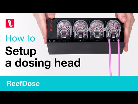 How to setup a ReefDose head