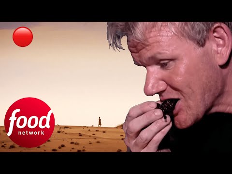 🔴 Gordon Ramsay's Culinary Travels | Gordon's Great Escapes