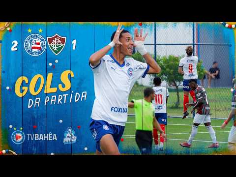 image para ilustrar o artigo