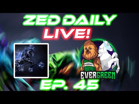 Zed Daily EP. 46 | Bloo Hors Stables | Zed Run