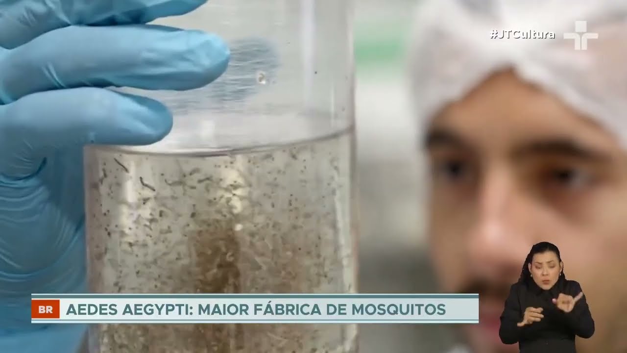 Ministério da Saúde reforça prevenção às arboviroses com campanha em todo o país