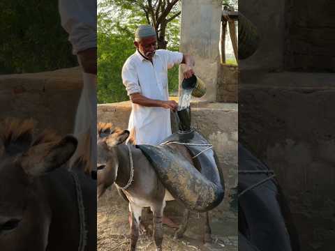 An old man in the desert is carrying drinking water on a donkey with great difficulty.