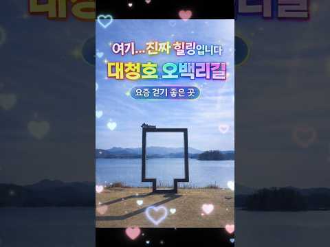 여기 진짜 힐링 명소 대청호 오백리길 This is a truly healing spot: Daecheongho Obaekrigil #Daejeon Metropolitan City