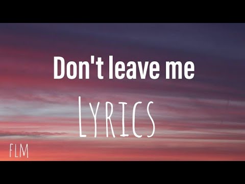 Lost frequencies ft.Mathieu Koss - Don't Leave Me Now (lyrics)