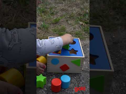 video screenshot