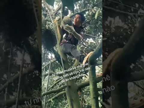 sầu cuối mùa #youtuber