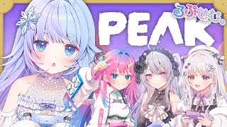 *❅ PEAK┊るぷせむで頂上目指すぞ⛰️〖 雪芽るみ┊すぺしゃりて 〗